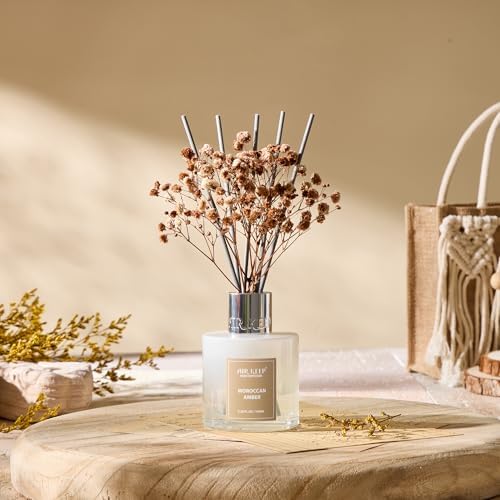 Airkeep Reed Diffuser Set,3.38 fl oz (100 ml) - Moroccan Amber Oil Diffusers with 8 Reed Sticks, Home Fragrance Reed