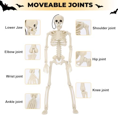 16" Halloween Skeleton Decorations with Posable Joints, 5Pcs