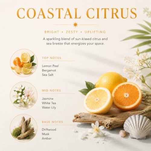 Airkeep Reed Diffuser Set,3.38 fl oz (100 ml) - Coastal Citrus Oil Diffusers with 8 Reed Sticks, Home Fragrance Reed