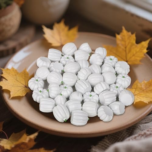 winemana 80Pcs Mini Pumpkins for Crafts, Fall Decorations for Home, White