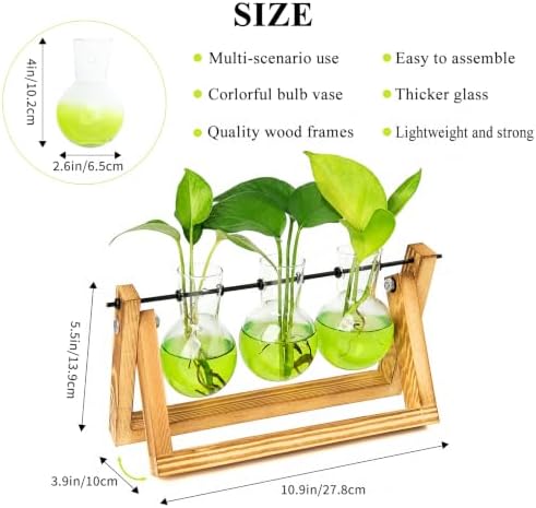 XXXFLOWER Plant Terrarium Kit with Wooden Stand 3 Gradient Green Bulb Vases