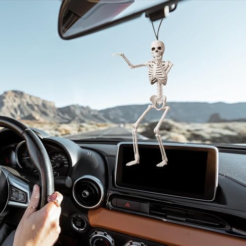 16" Poseable Small Skeleton for Halloween: Sturdy Joints Hold Pose Firmly