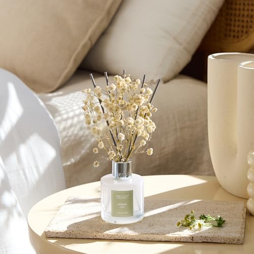 Airkeep Reed Diffuser Set, 3.38 fl oz (100 ml) - Jasmine Lily Lemon Oil Diffusers with 8 Reed Sticks, Home Fragrance