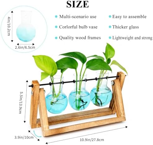 XXXFLOWER Plant Terrarium Kit with Wooden Stand 3 Gradient Blue Bulb Vases