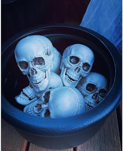 Fun Express White Plastic Realistic Skeleton Skulls, 5 Inch, 12 Pack