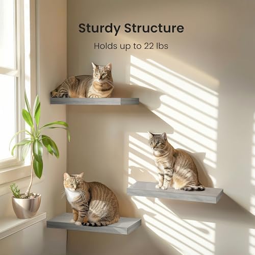 Amada 15.7" Floating Shelves for Wall Decor & Storage, Set of 3, Gray