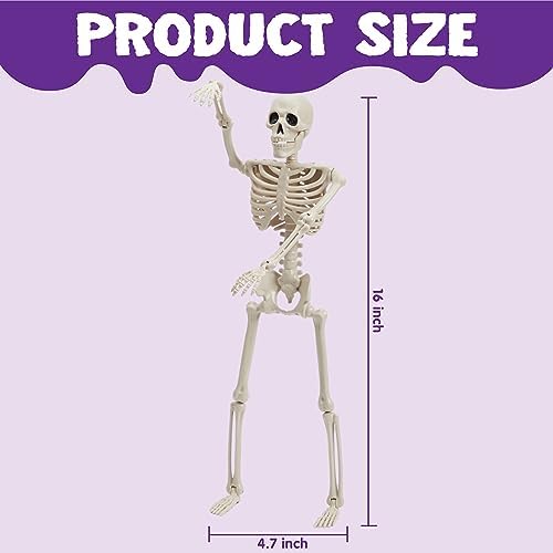 JOYIN 2PCS 16" Halloween Skeleton Decor, Full Body Stayable Movable Joints, Posable Hanging Skeletons for Halloween Decoration, Yard, Graveyard, Haunted House Props, Spooky Scene Party Favor