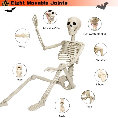 2 Pack 24"Halloween Skeleton - 2 ft Life Size Human Skeleton with Full Body Posable Joints Plastic Skeleton for Halloween Skeletons Decor Yard Patio Lawn Garden Skeleton Props Spooky Party Decoration