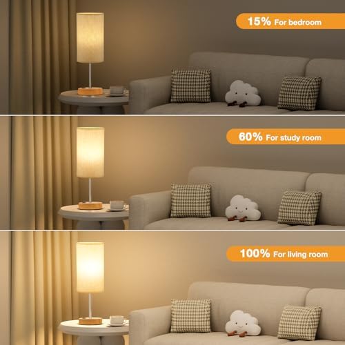 Fenmzee 17.4" Bedside Lamp for Bedroom - Dimmable Touch, USB A+C, AC Outlet