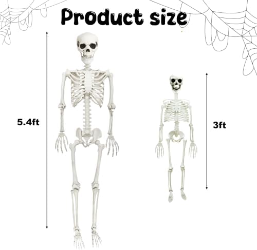 CAMIRUS 5.4ft & 3ft Posable Life Size Plastic Skeleton Halloween Decor
