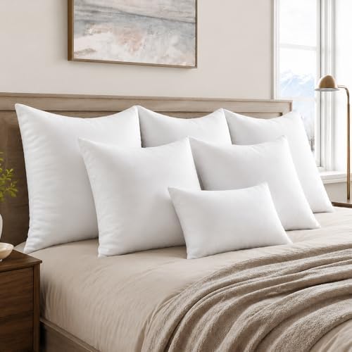 MIULEE 28x28 Euro Pillow Inserts 2 Pack, Throw Pillows for Couch Bed