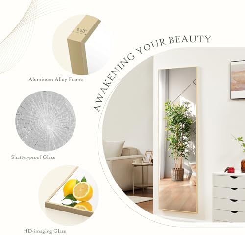 Full Length Floor Mirror, 21"x64" Body Wall Mirror with Stand