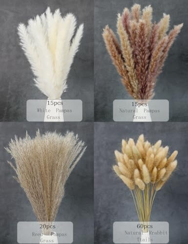xin's convey 110pcs Dried Pampas Grass, (Vase Not Included),Dried Flower Bouquet, Reed Grass Bouquet for Boho Floral Home, Wedding Party Centerpiece, Rustic Farmhouse Decoration.(Brown)