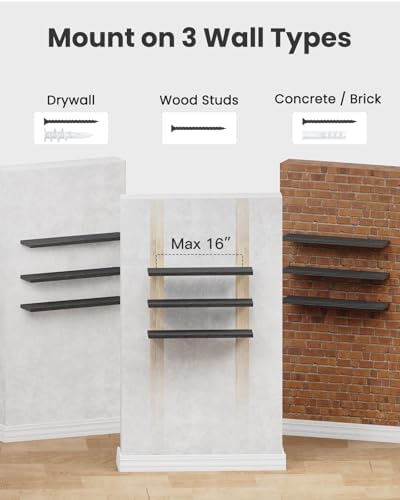 Amada 23.6" Floating Shelves for Wall Decor & Storage, Set of 3, Black