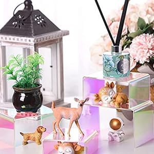 Iridescent Display Risers Rainbow Display Stand Rainbow Acrylic Display Stands Acrylic / Set of 10