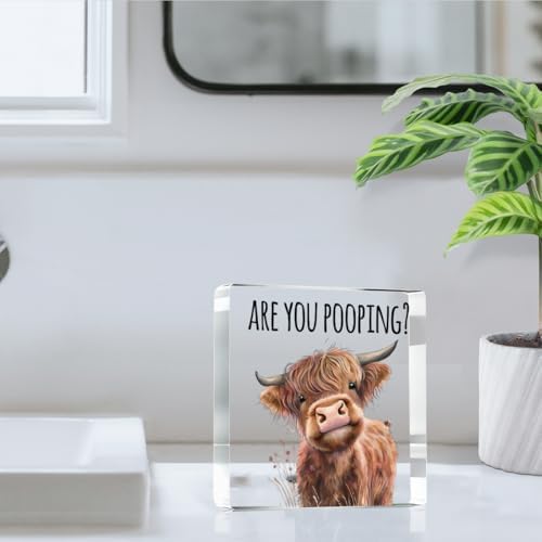 Highland Cow Bathroom Decor Gifts,Are You Pooping Funny Acrylic Sign Bathroom Decor for Western & Highland Cow Lovers Gifts for Coworker, Friends, Boss, Men, Women 4x4 Inch