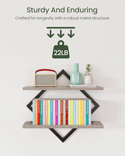 CHOEZON Floating Shelves for Wall, Set of 2 Wall Mounted Shelves, 2-Tier Hanging Shelves, for Living Room, Bedroom