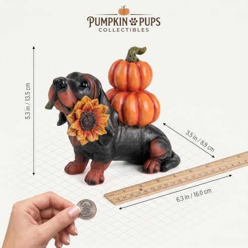 Thanksgiving Dachshund Dog Statue, Fall Pumpkin Dog Figurine Decor