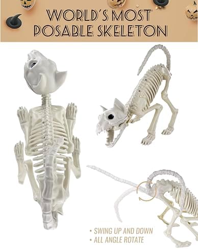 GIFTEXPRESS 2 Pack Real Size Cat Skeleton - 20" Long Creepy Kitten Skeletons with Posable Tail Halloween Decor - Indoor & Outdoor Haunted House Scary Animal Party Decoration