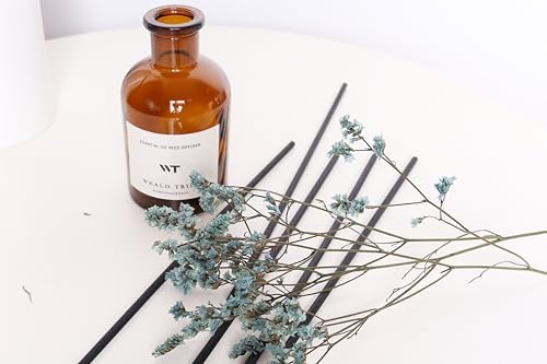 WEALD TRIBE Reed Diffuser Set for Bathroom Decor, Sticks Diffuser with Fragrance Oils Included | Ocean Scent 4.0 fl oz