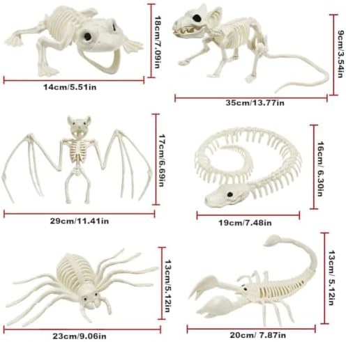 CAMIRUS 6Pack Animal Halloween Skeletons, Realistic Animal Skeleton