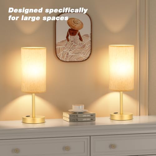 Fenmzee 17.4" Gold Lamp for Bedroom - Dimmable Touch, USB A+C, AC Outlet