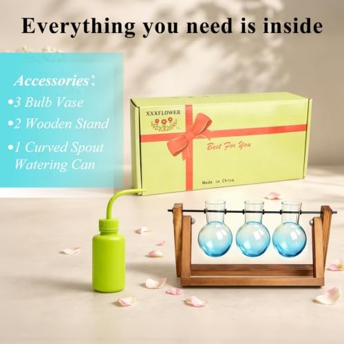 XXXFLOWER Plant Terrarium Kit with Wooden Stand 3 Gradient Blue Bulb Vases