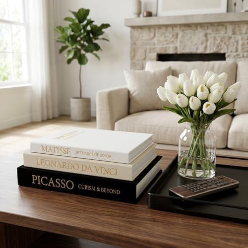 Linen Faux Book Box Set of 3, Black and White Decorative Books for Shelves, Fake Books for Decoration with Secret