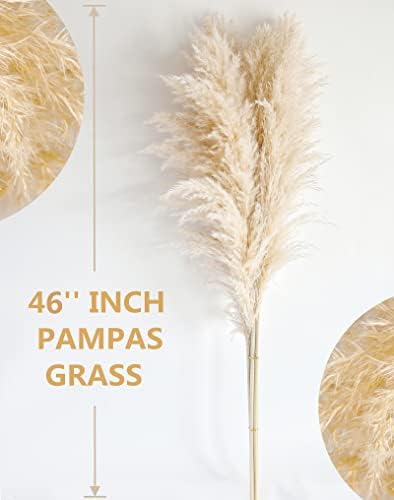 Tall Pampas Grass for Weddingm / Beige