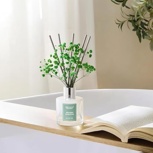 Airkeep Reed Diffuser Set,3.38 fl oz (100 ml) - Wild Mint&Eucalyptus Oil Diffusers with 8 Reed Sticks, Home Fragrance