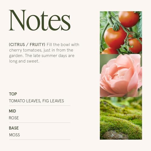 LA JOLIE MUSE Tomato & Vine Scented Candles for Home, Natural Soy, 40 Hrs