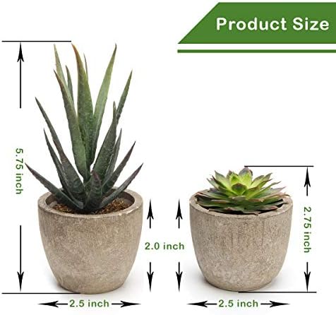 Artificial Succulent Plants Potted / Green