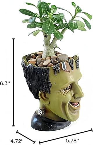 Funny Planters Head Planter for Indoor Plants, Succulent Pot with Drainage Hole Fairy Garden Resin Cactus Pencil Holder Desk Storage Gift for Women Men Plant Pot