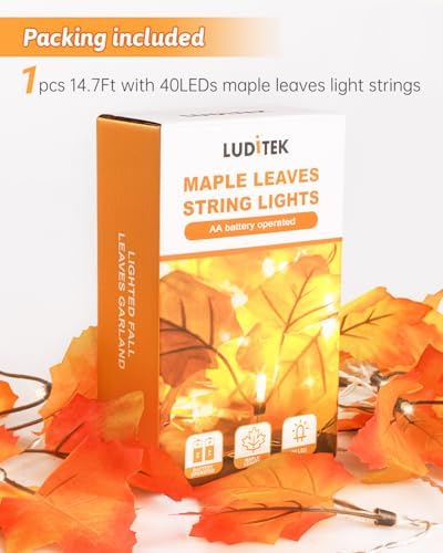 8 Modes & Timer Fall Decor Garland with Lights, 14.7ft/40LED String Lights