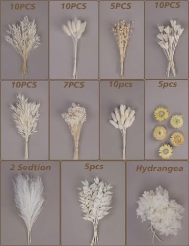 Dried Flower MEGA Box, Craft Pack, Mini Preserved Flower, Dry Flowers Epoxy Resin, Jewelry Craft, DIY Material, Candle Making (White)