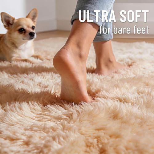 OLANLY 10x11 Machine Washable Large Area Rugs for Living Room, Bedroom, Soft Fluffy Shaggy Bedside Rug, Indoor Floor