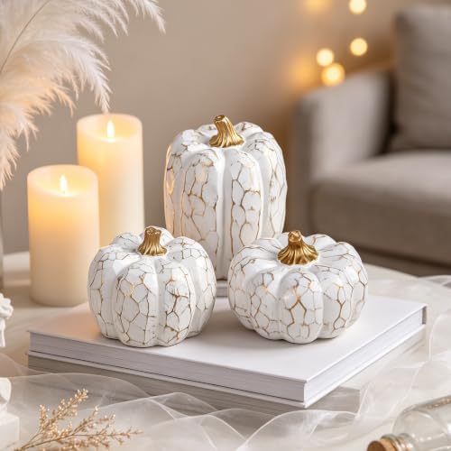 winemana Set of 3 White Pumpkins Fall Decorations for Home