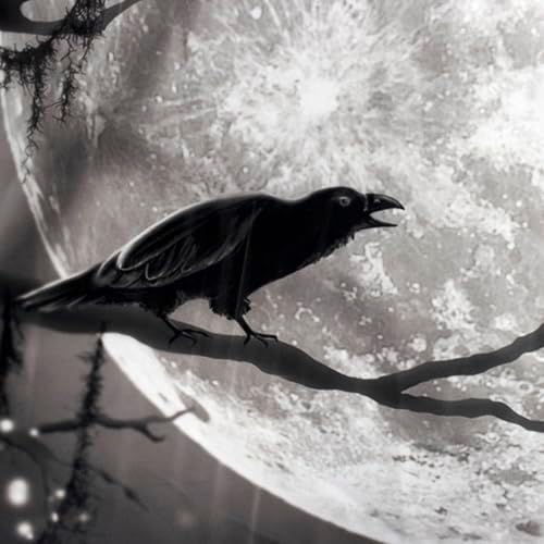 LB Halloween Full Moon Tapestry, Horror Black Crow with Bat on Grey and Black Night Sky Wall Tapestry for Bedroom, Creppy Bat Wall Hanging Tapestry Wall Art for Living Room Home Decor, 92.5 x 70.9