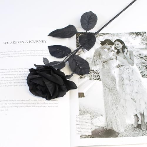 Black Roses Artificial Flowers, 12 Pcs Fake Rose in Bulk, Long Stem Realistic Silk Roses Bouquet for Centerpieces Flower Arrangement, Halloween Home Decor, Gothic Decoration (Black2, 12-PCS)