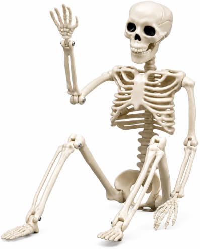 Halloween Decoration Outdoor 5 Pack Skeleton, 16" Plastic Posable Skeleton with Movable Joints, Small Hanging Skeletons for Halloween Decor, Haunted House Graveyard Props