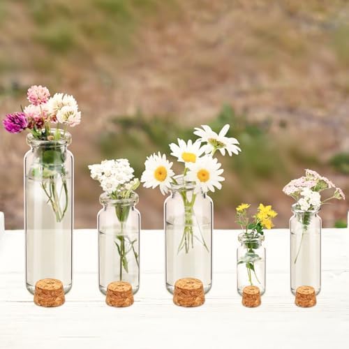 Geiserailie 45 Pcs Spell Jar Mini Glass Potion Bottles Cork Stopper,Small