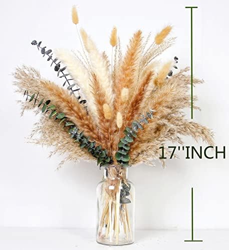 Bunny Tails Dried Flowers / 14-17inch Mixed / Set of 110