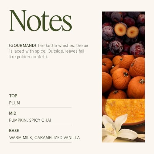 LA JOLIE MUSE Pumpkin Chai Scented Candles for Home,Natural Soy Wax 40Hrs