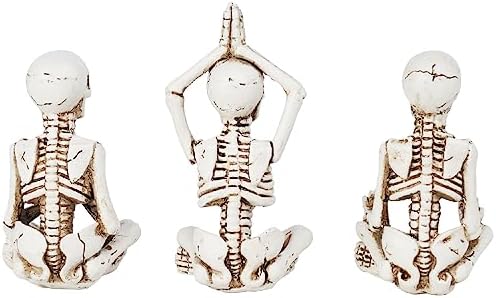 Newman House Studio Halloween Skeleton Decor - Yoga Skeleton Figurines