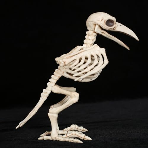 Seasons 7.8" Skeleton Raven Halloween Decoration