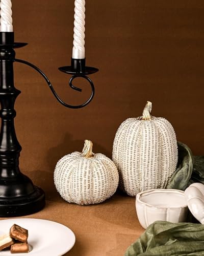 DN DECONATION Fall Thanksgiving Pumpkin Decor for Home Table Decor, 2 PCS