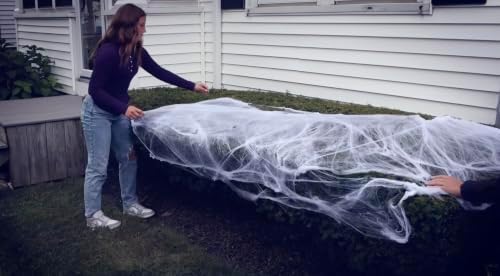 300 Sq. Ft Coverage, Indoor & Outdoor Use, Creepy Spiders Included, Garden Decor (White, 300 SQ FT)