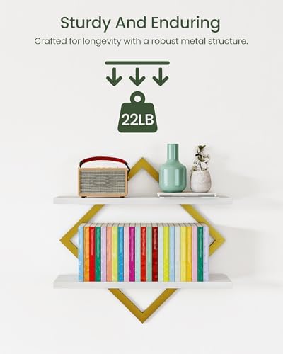 CHOEZON Floating Shelves for Wall, Set of 2 Wall Mounted Shelves, 2-Tier Hanging Shelves, for Living Room, Bedroom