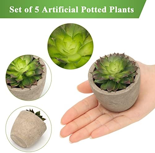 Artificial Succulent Plants Potted / Green