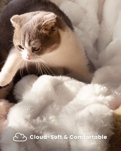 Ultra Soft Cozy Faux Fur Throw Blanket, Fuzzy Plush Thick Bubble Blanket, Oversize Luxury Fluffy Blanket for Couch